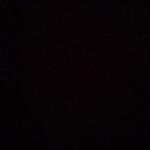 Meet your Posher, Leo